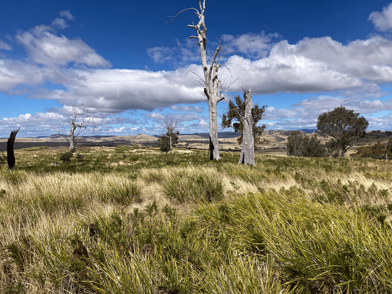 . Rotherwood Road, LOWER MARSHES, TAS 7030