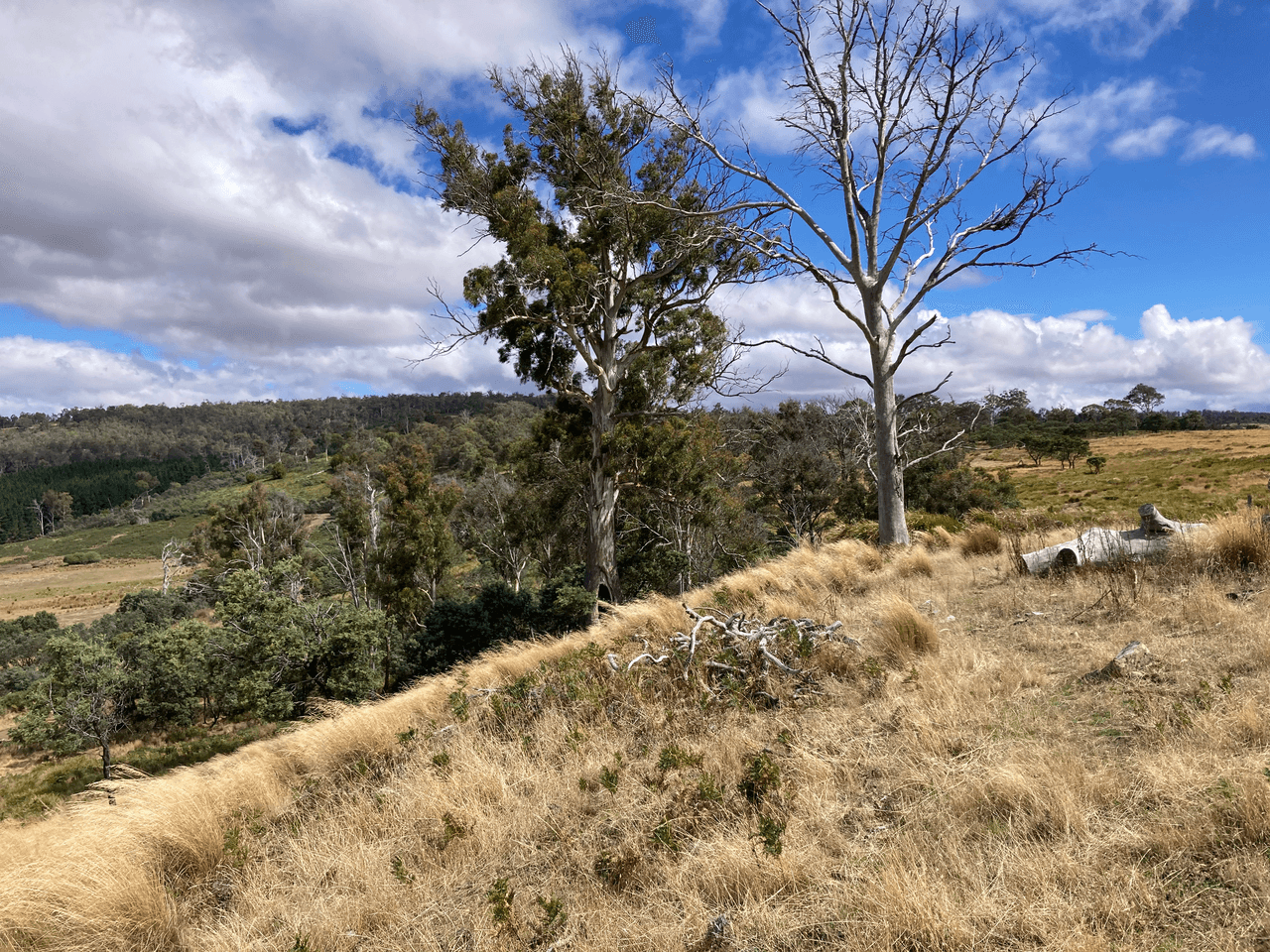 . Rotherwood Road, LOWER MARSHES, TAS 7030