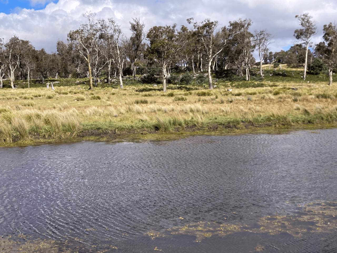 . Rotherwood Road, LOWER MARSHES, TAS 7030