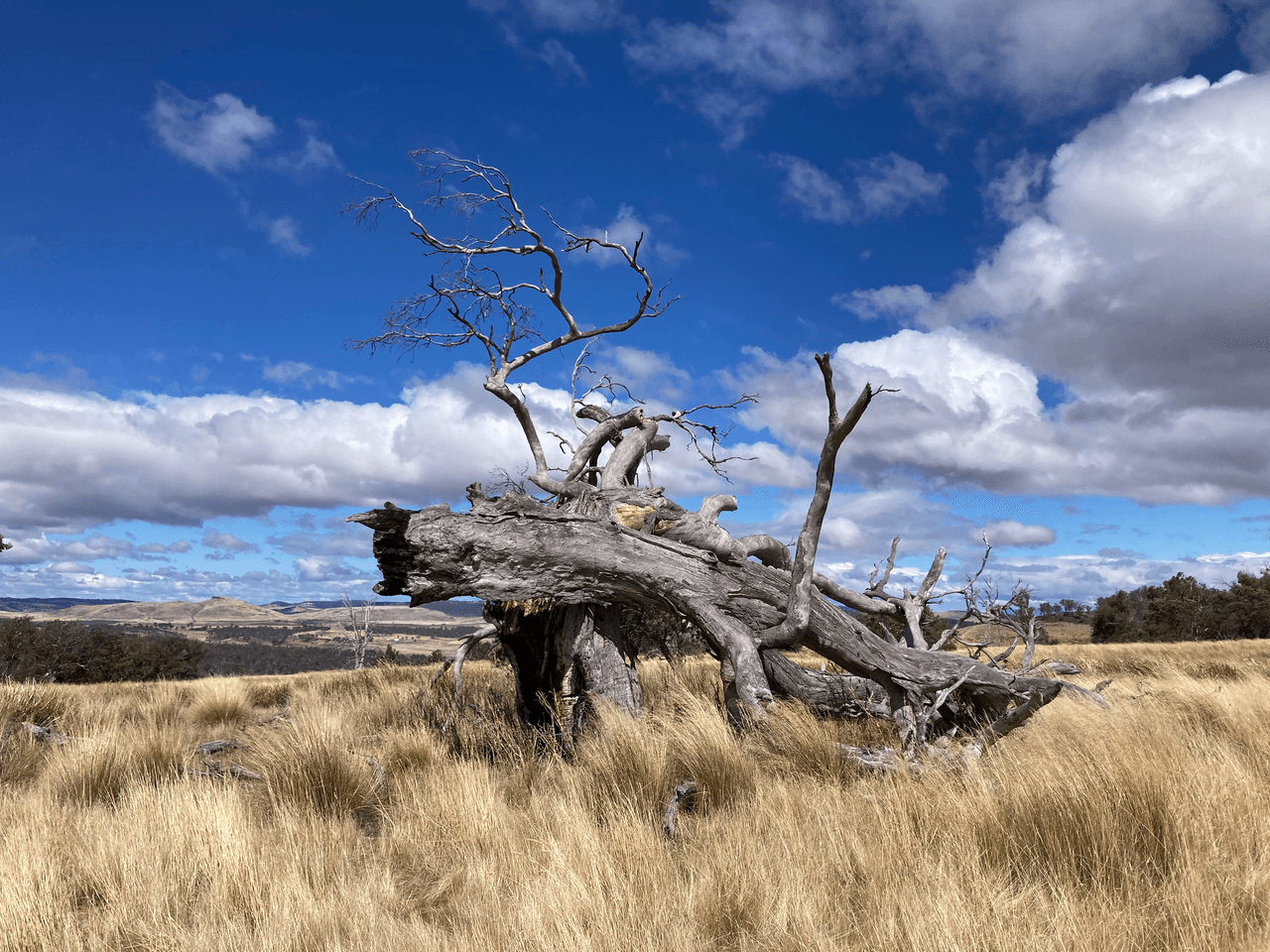 . Rotherwood Road, LOWER MARSHES, TAS 7030