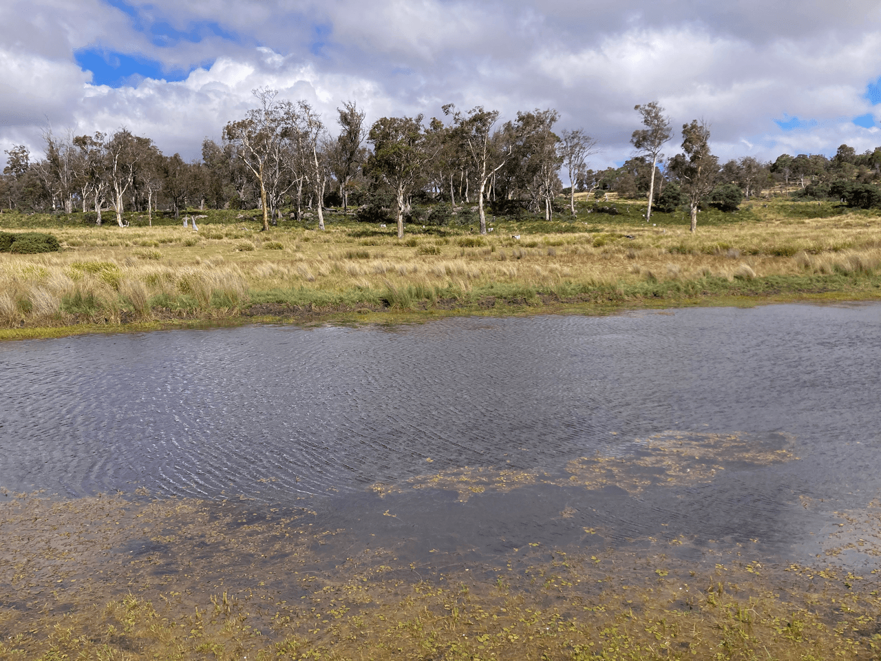 . Rotherwood Road, LOWER MARSHES, TAS 7030