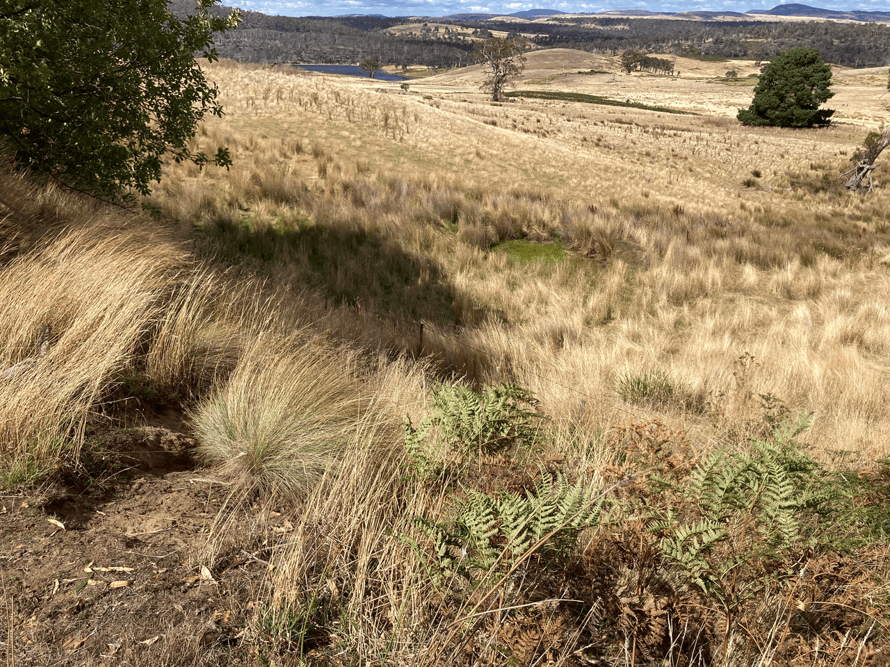 . Rotherwood Road, LOWER MARSHES, TAS 7030