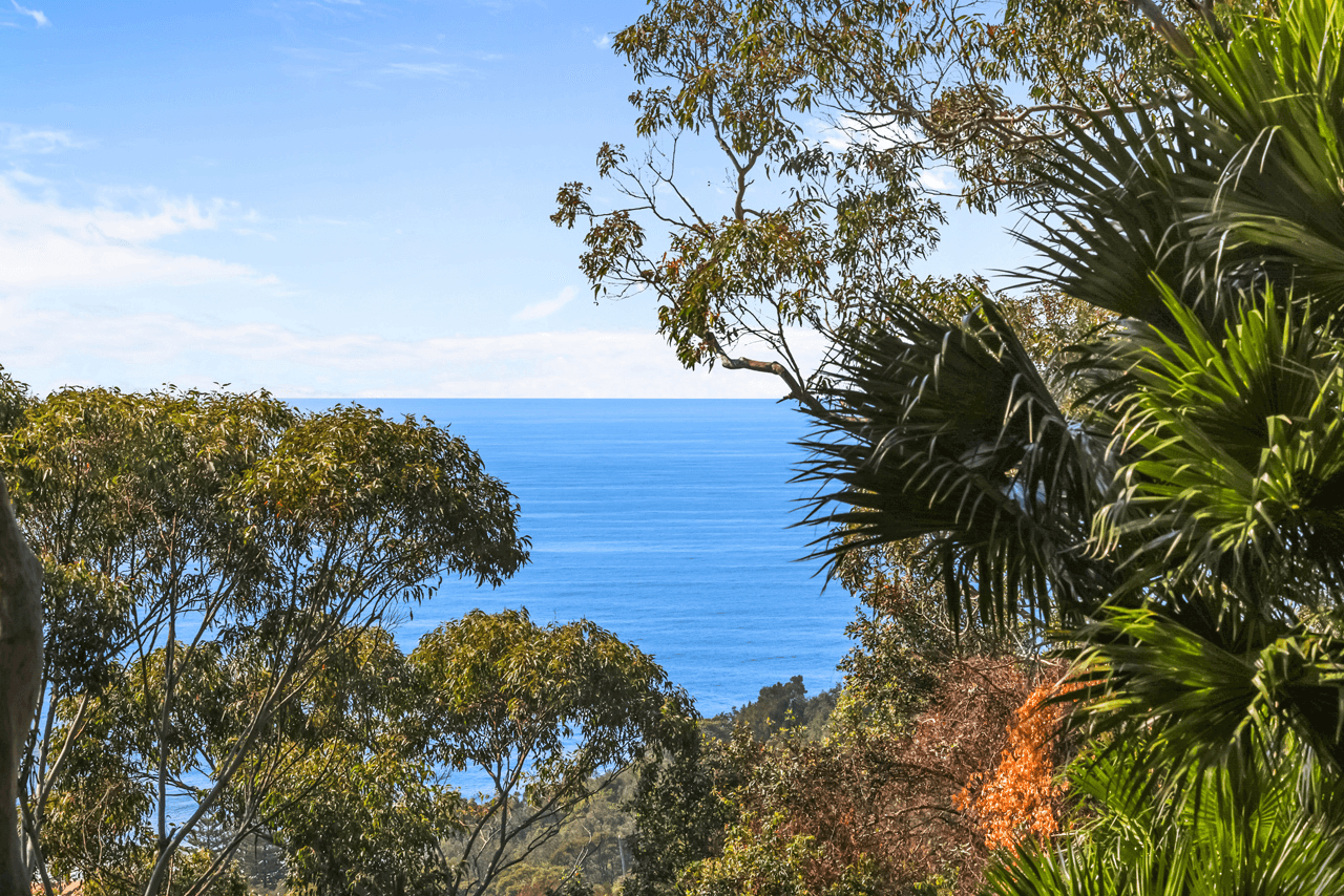 6/5A Wollombi Road, Bilgola Plateau, NSW 2107