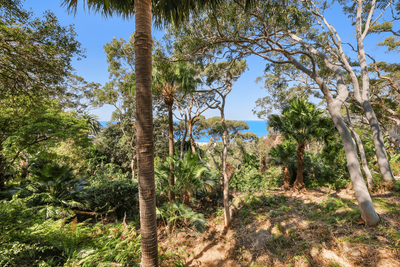 6/5A Wollombi Road, Bilgola Plateau, NSW 2107