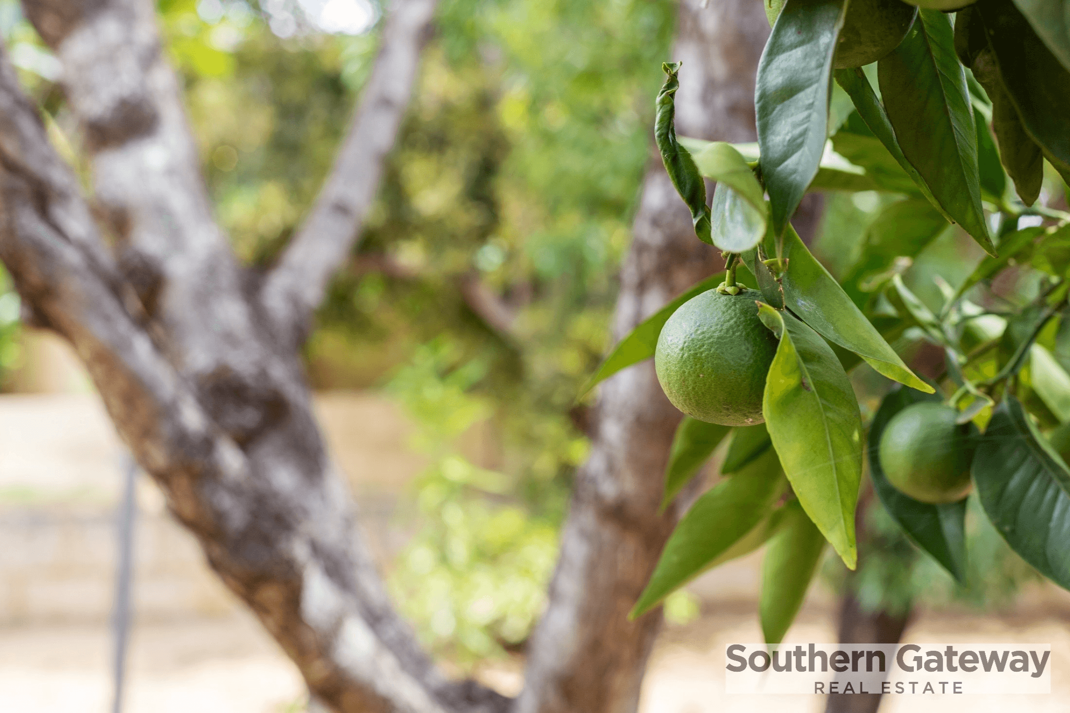 19 McKean Way, PARMELIA, WA 6167