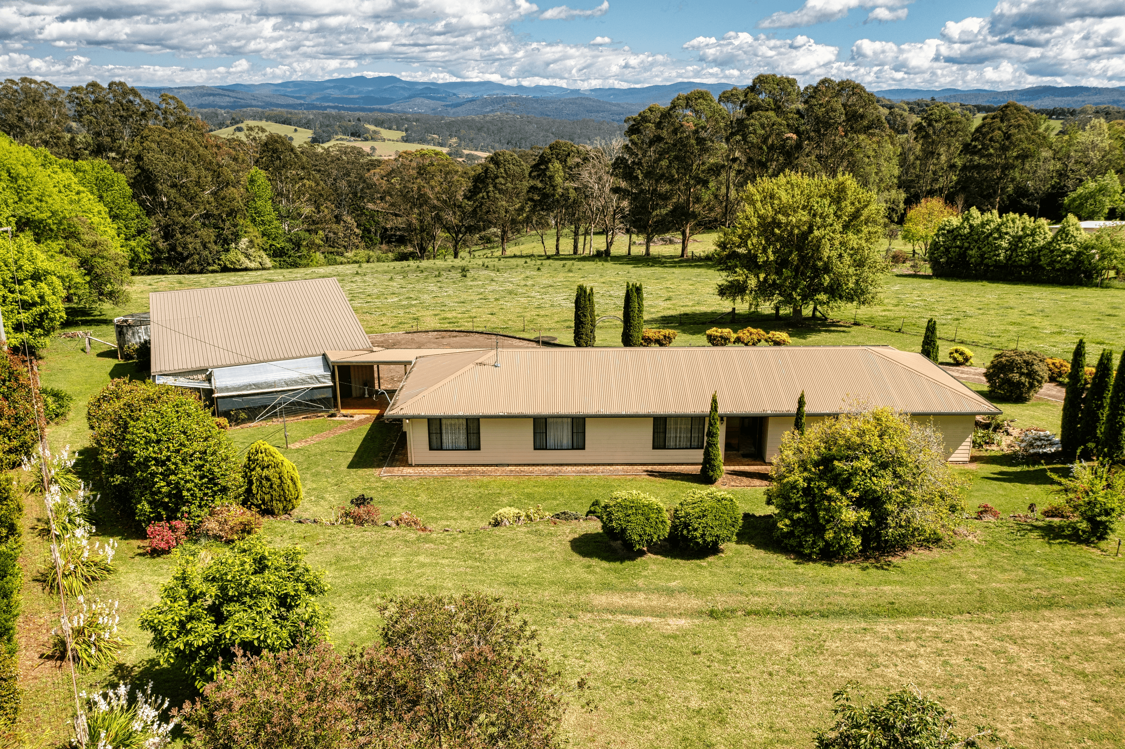 641 Old Coast Road, North Dorrigo, NSW 2453