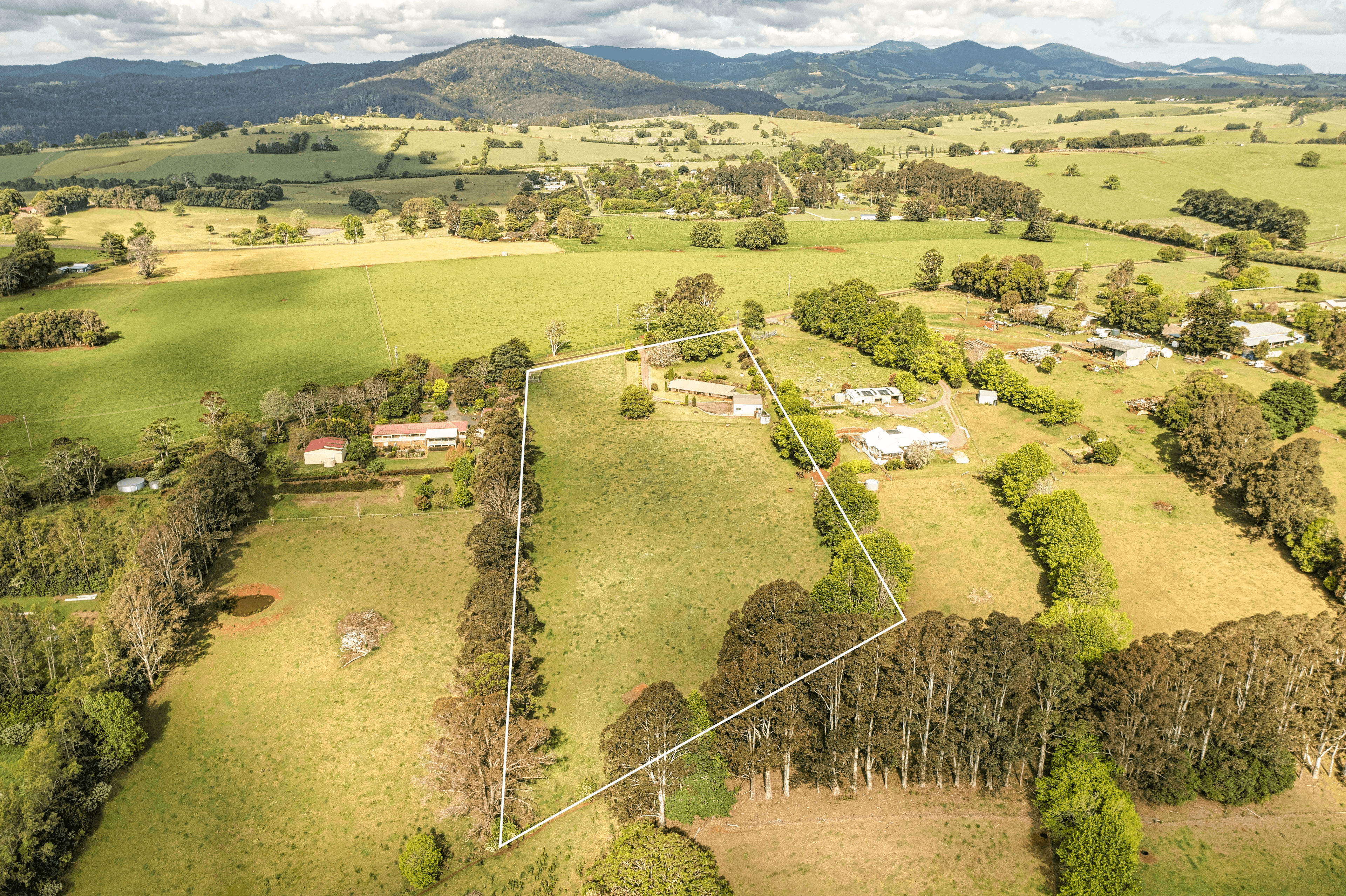 641 Old Coast Road, North Dorrigo, NSW 2453