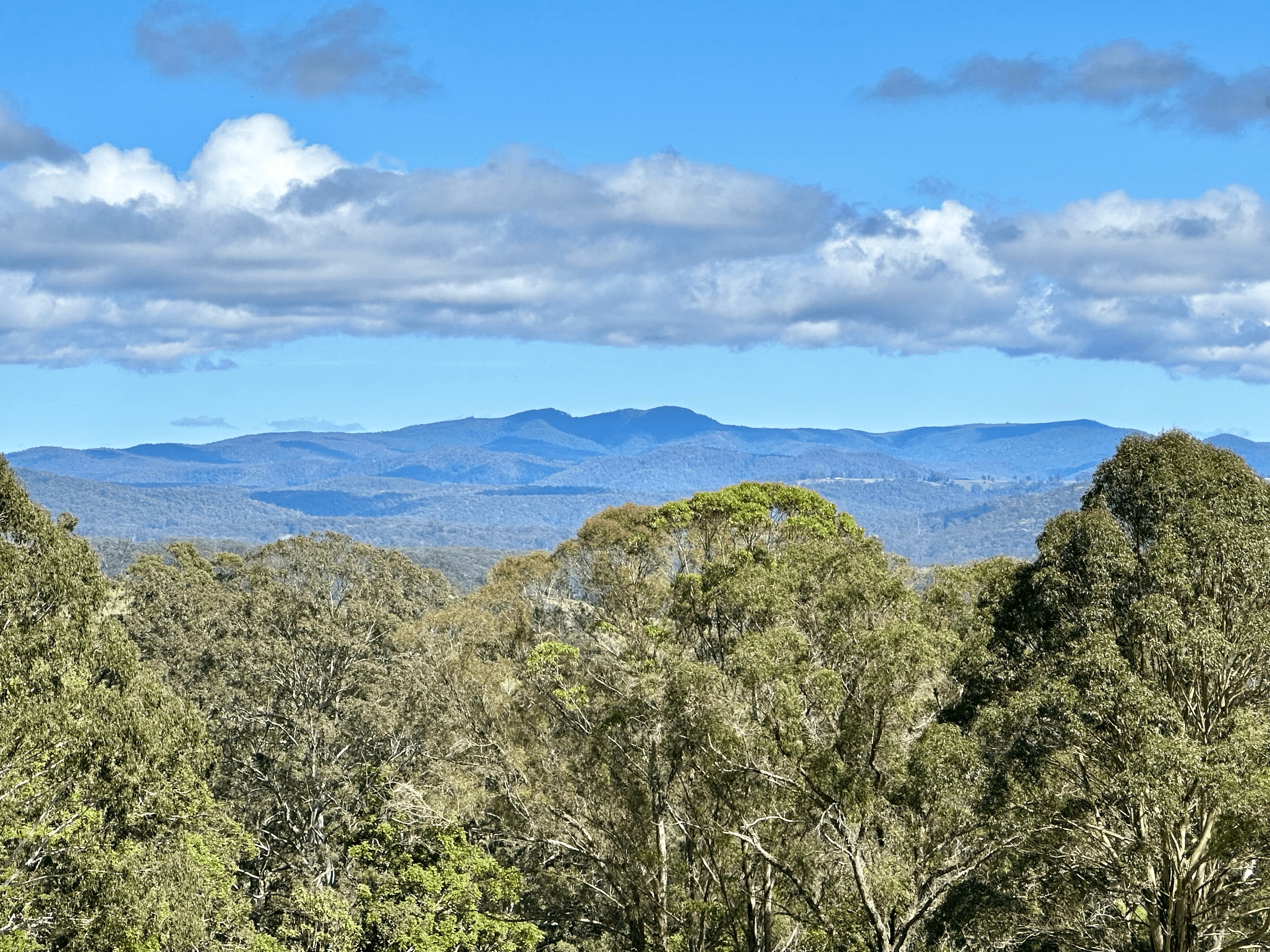 641 Old Coast Road, North Dorrigo, NSW 2453