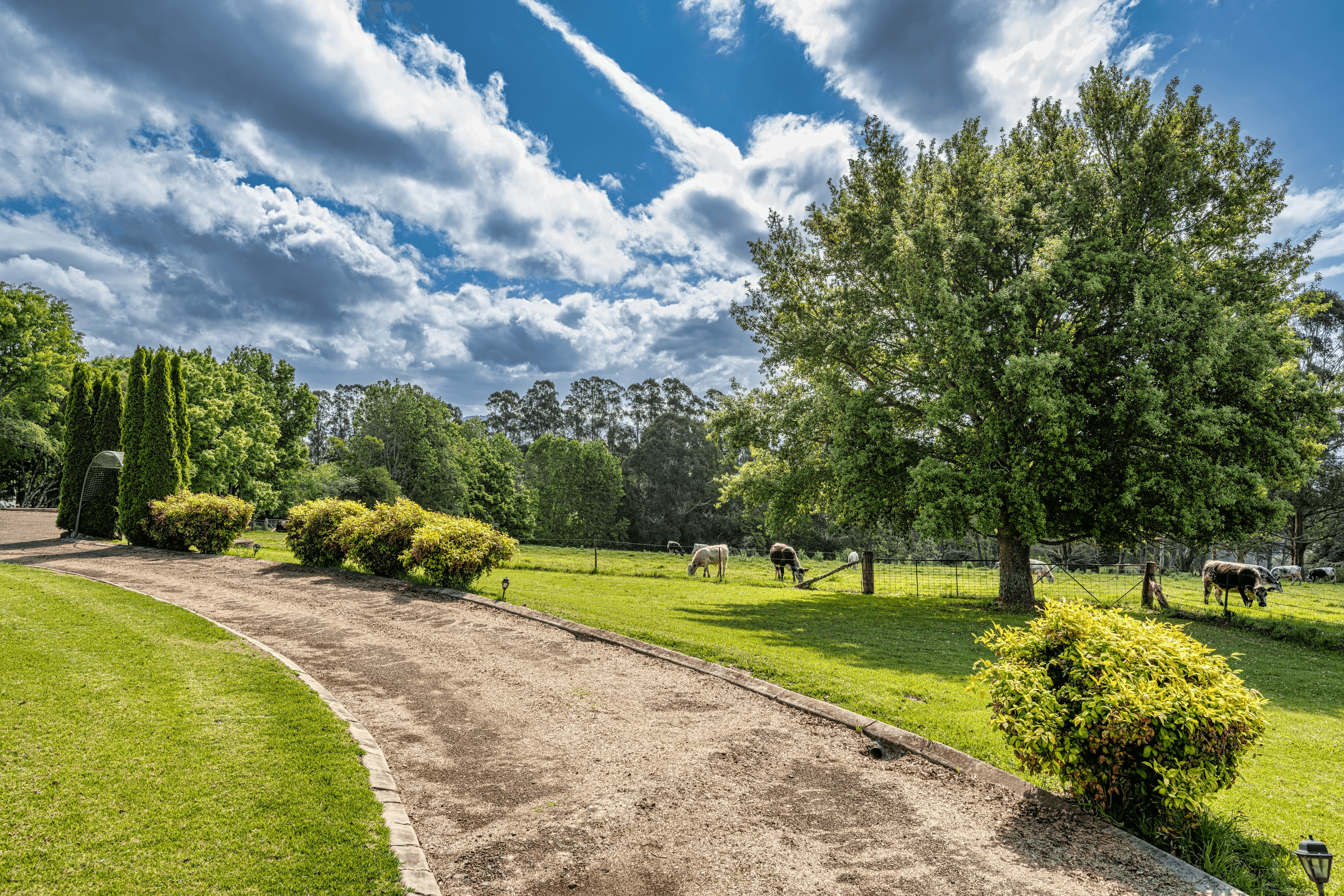 641 Old Coast Road, North Dorrigo, NSW 2453