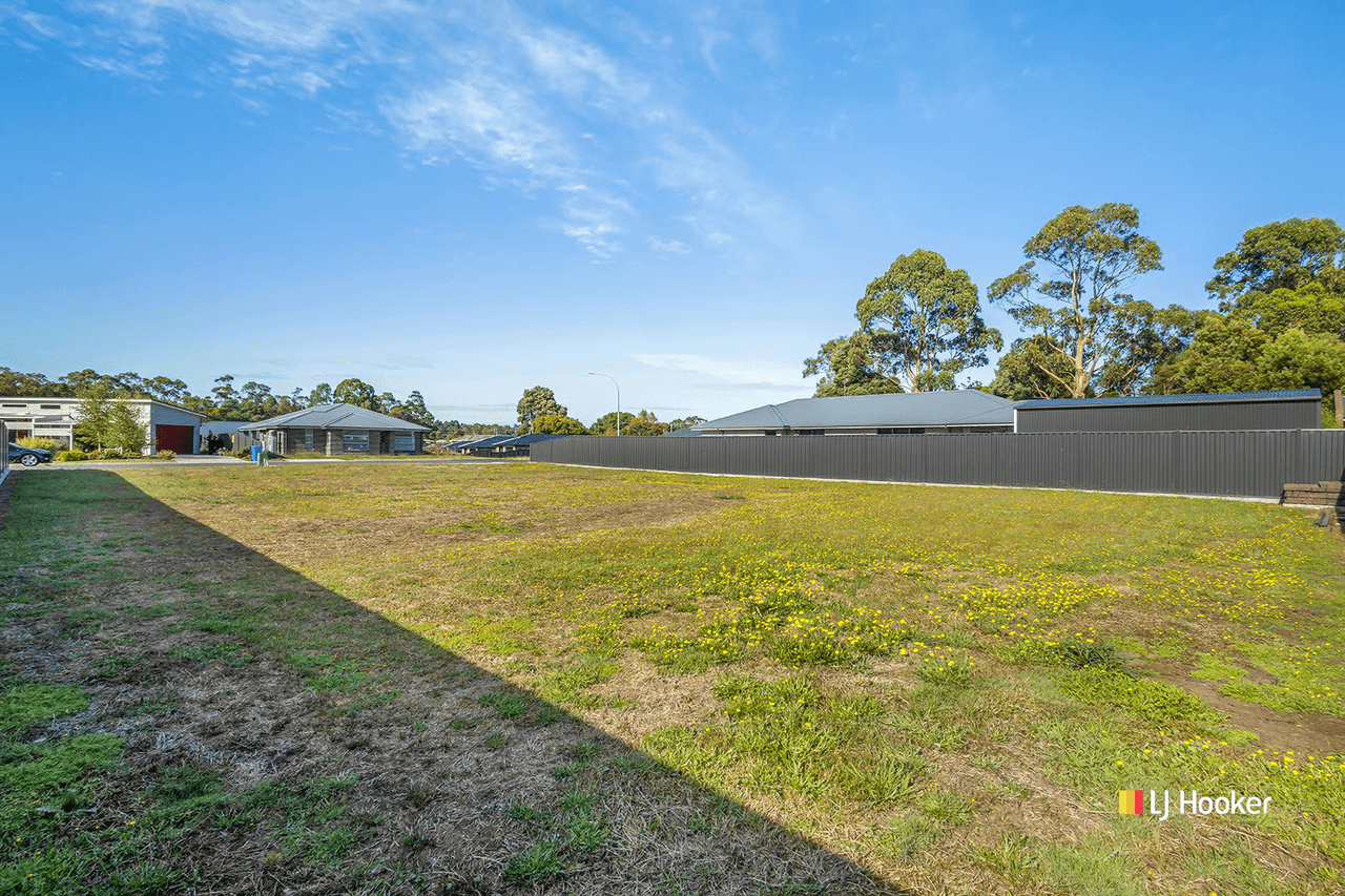 10 Millpond Court, WYNYARD, TAS 7325