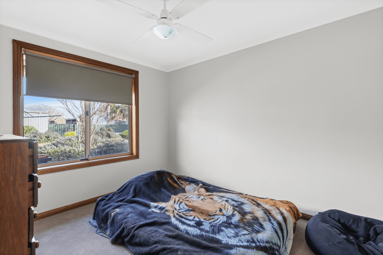 20  The Crescent, Nuriootpa, SA 5355