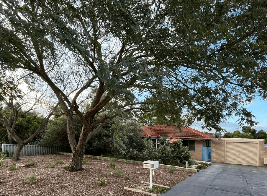 144 Cordelia Avenue, COOLBELLUP, WA 6163