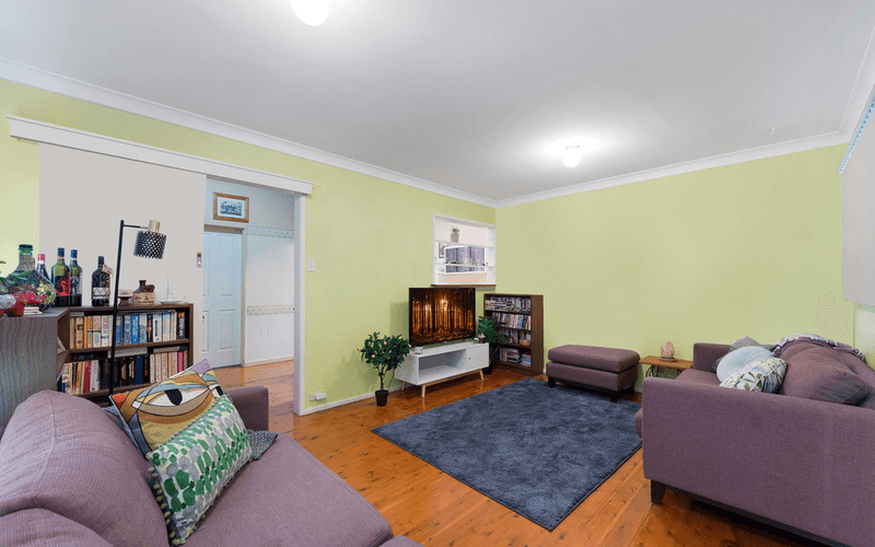 79 Hoddle Avenue, BRADBURY, NSW 2560