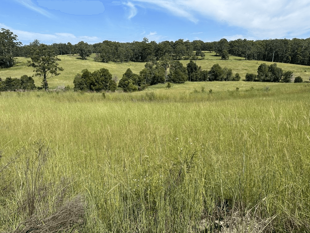 150 Tower Rd, PEMBROOKE, NSW 2446