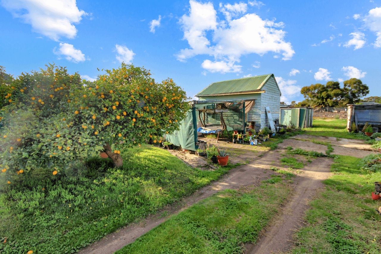 14 Hindmarsh Street, DIMBOOLA, VIC 3414