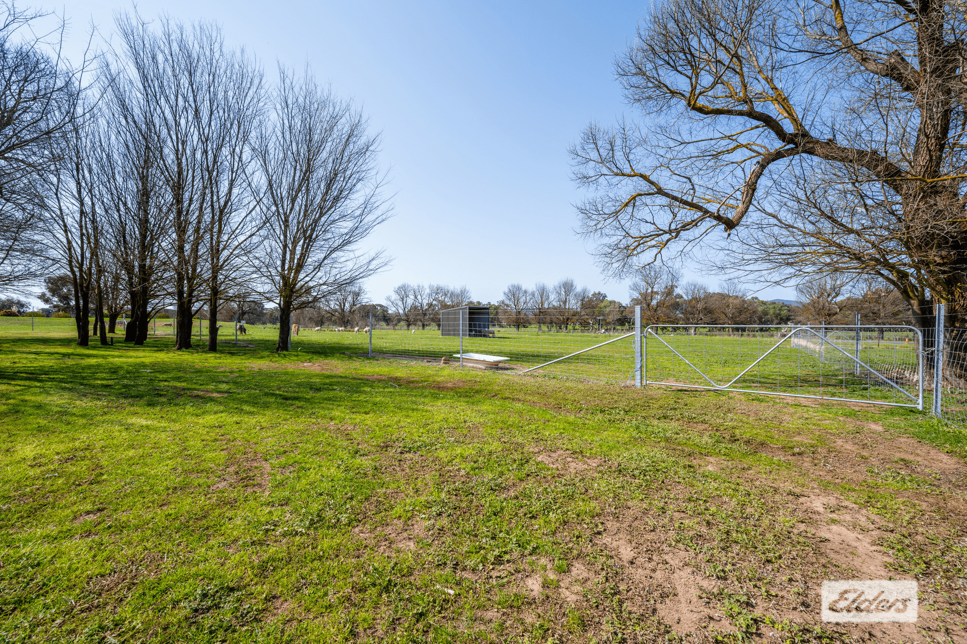 1061 Glenellen Road, Gerogery, NSW 2642