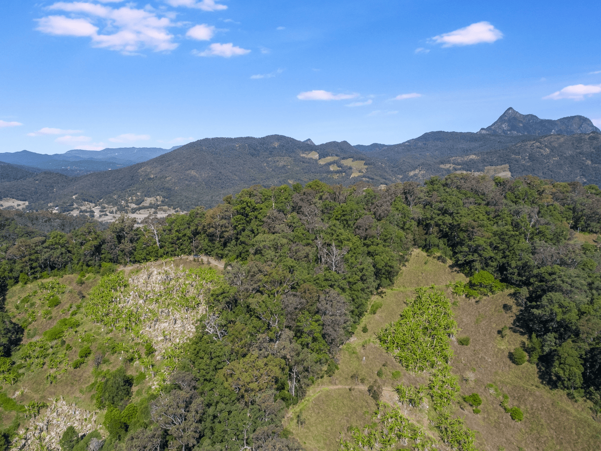 191 Chilcotts Road, CRYSTAL CREEK, NSW 2484