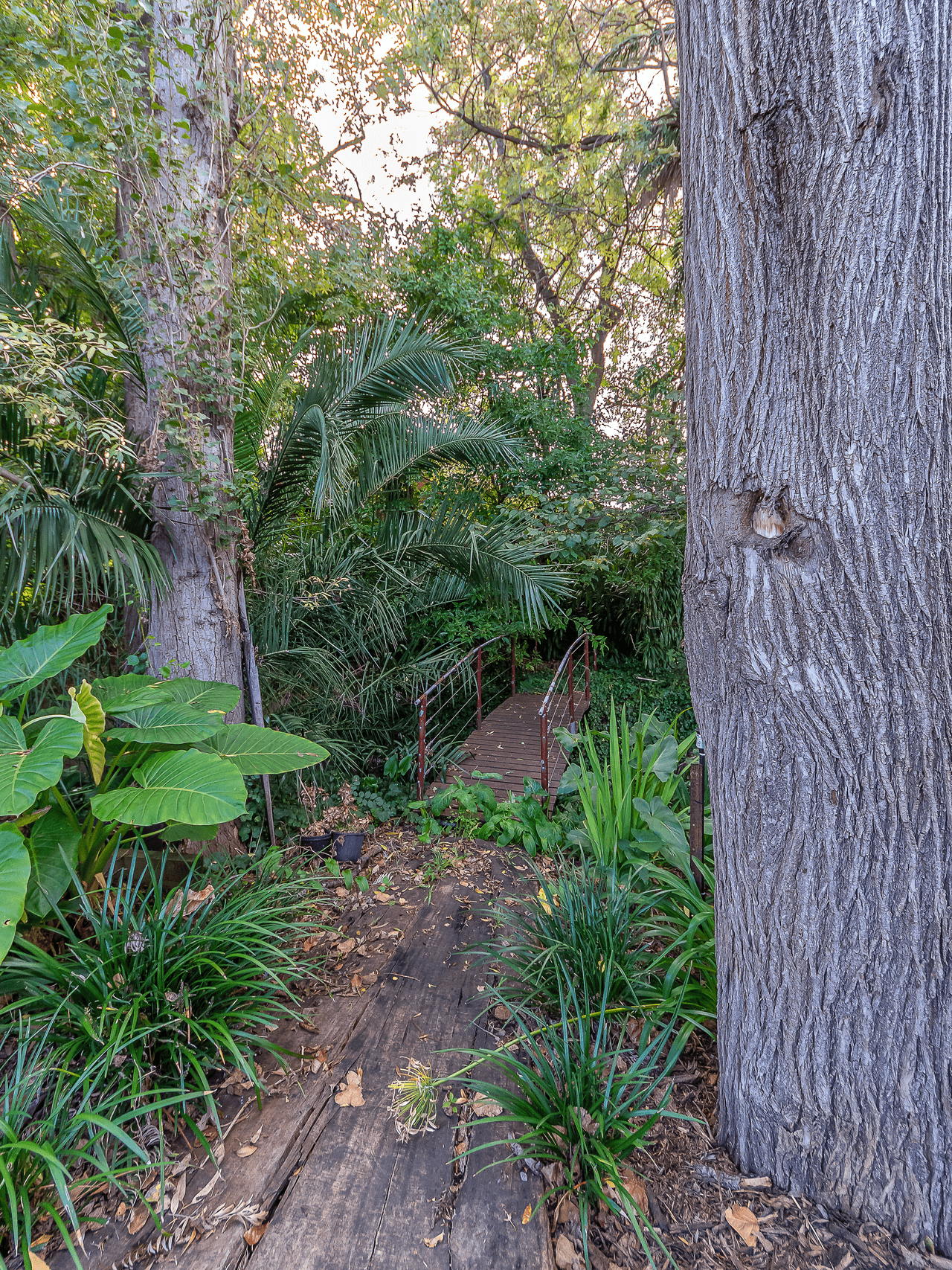 129 Kensington Road, NORWOOD, SA 5067