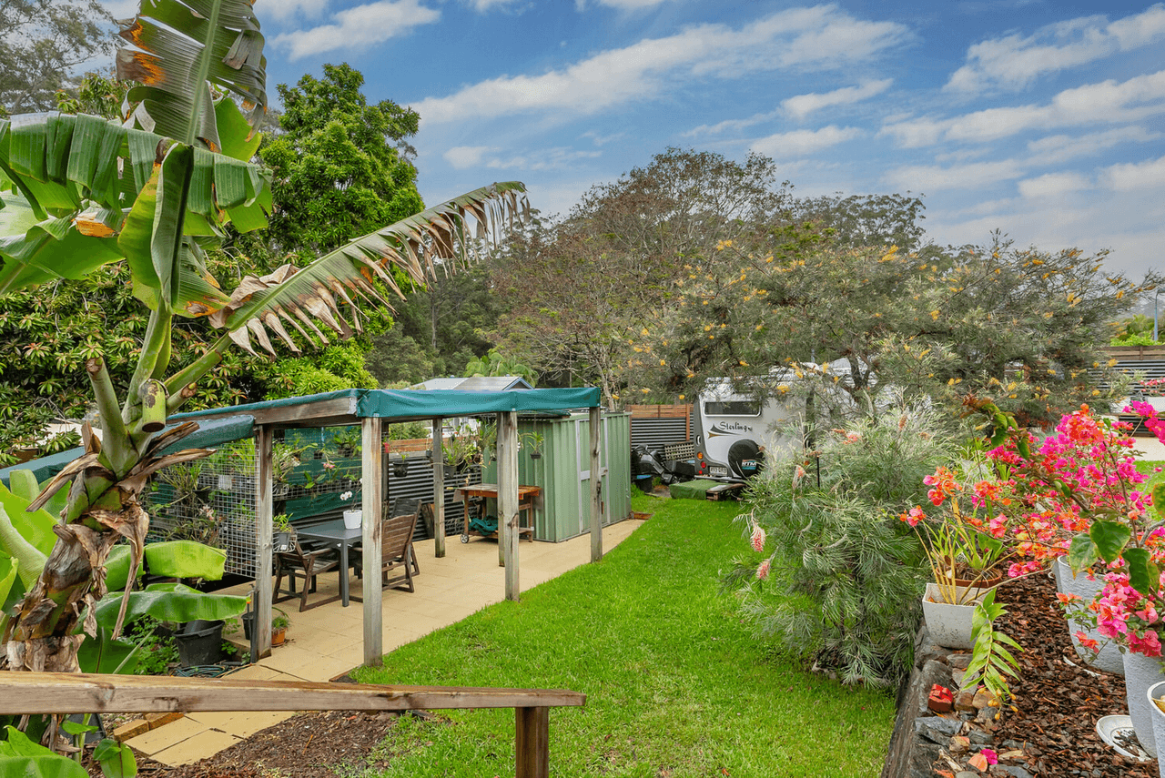 18 Yellow Cedar Pl, Palmwoods, QLD 4555