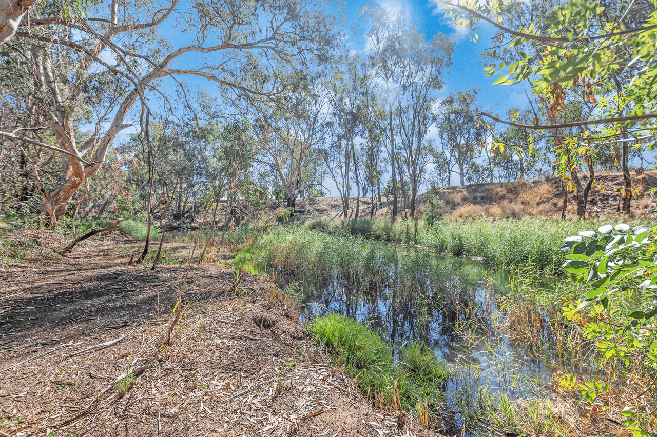 6 Bridge Road, ROCHESTER, VIC 3561