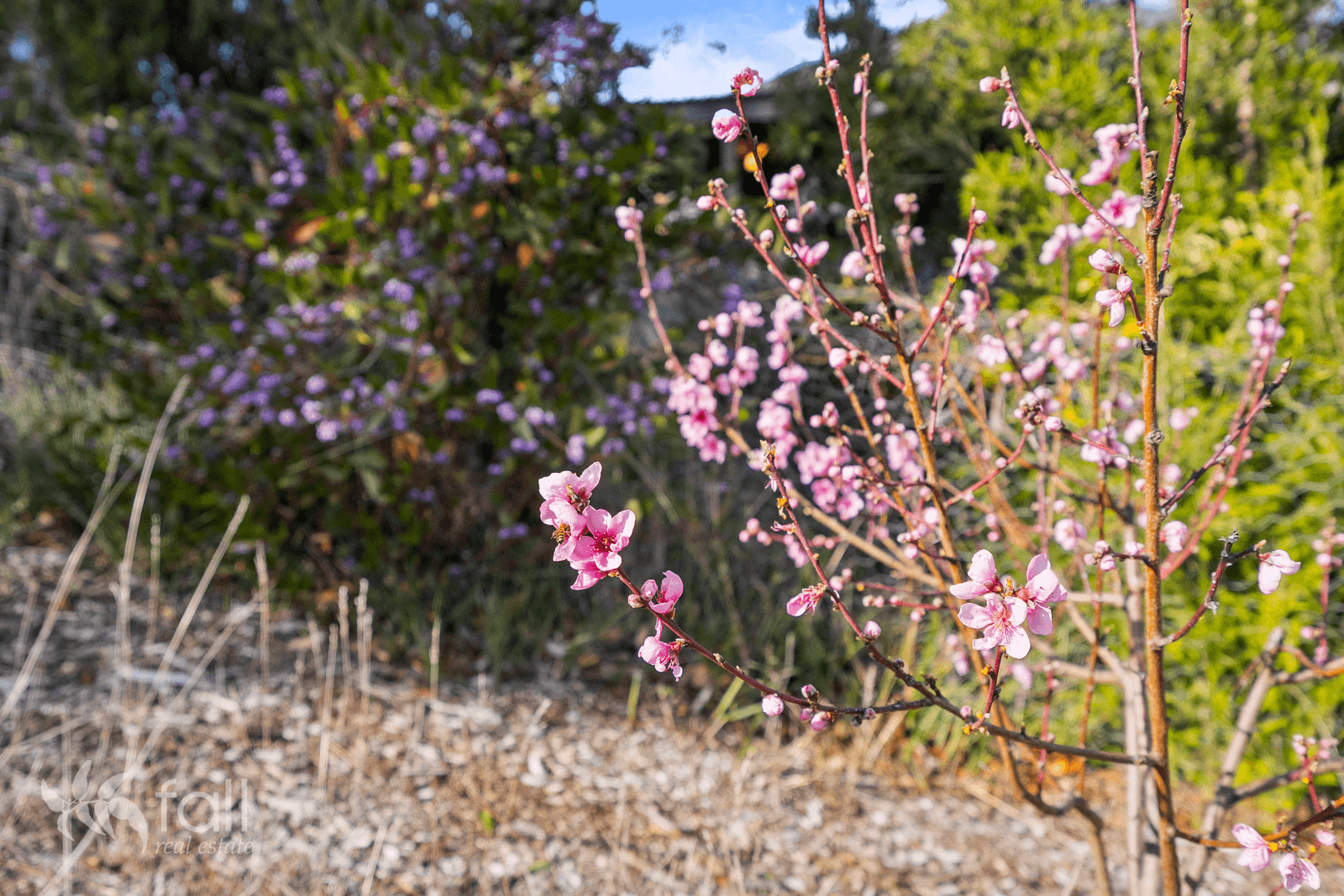 30 Landermere Drive, HONEYWOOD, TAS 7017