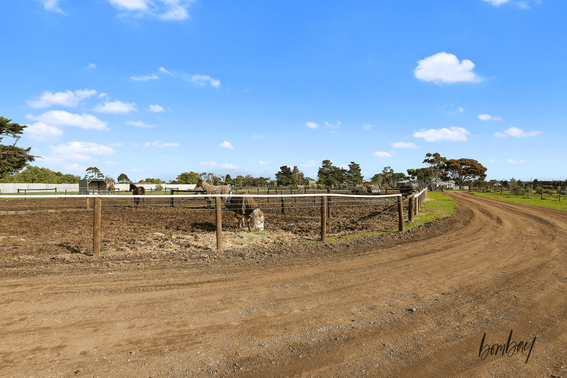 230 Emmersons Road, LOVELY BANKS, VIC 3213