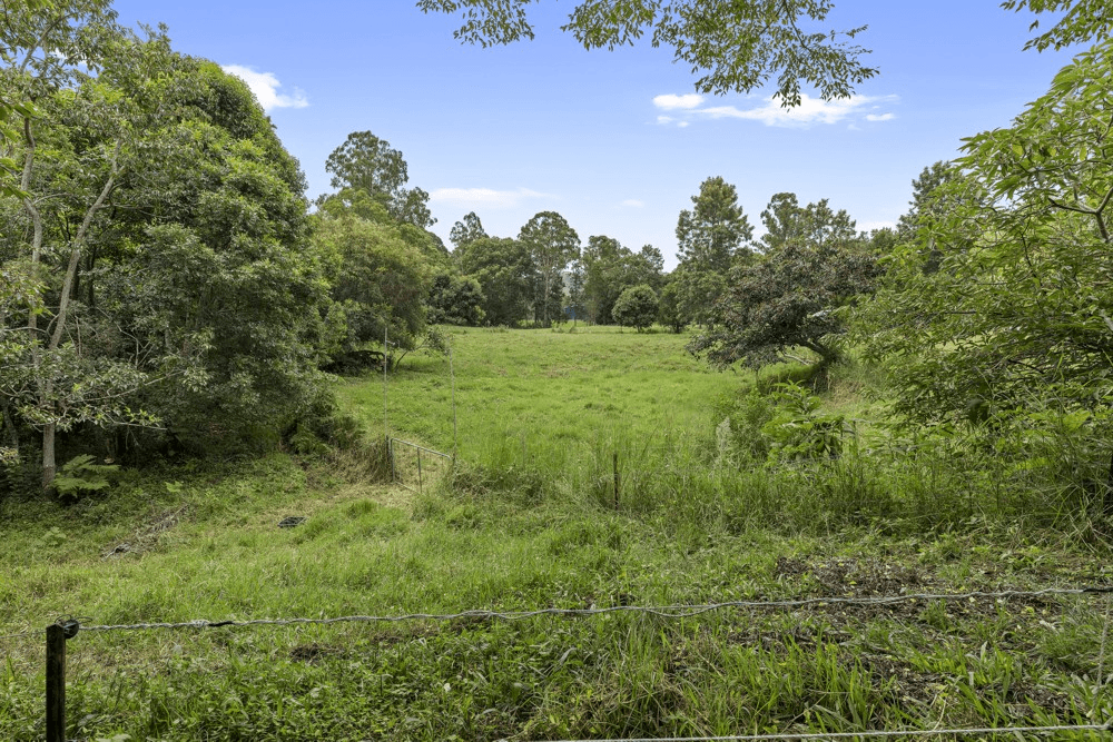 3 PALAMINO COURT, CONONDALE, QLD 4552