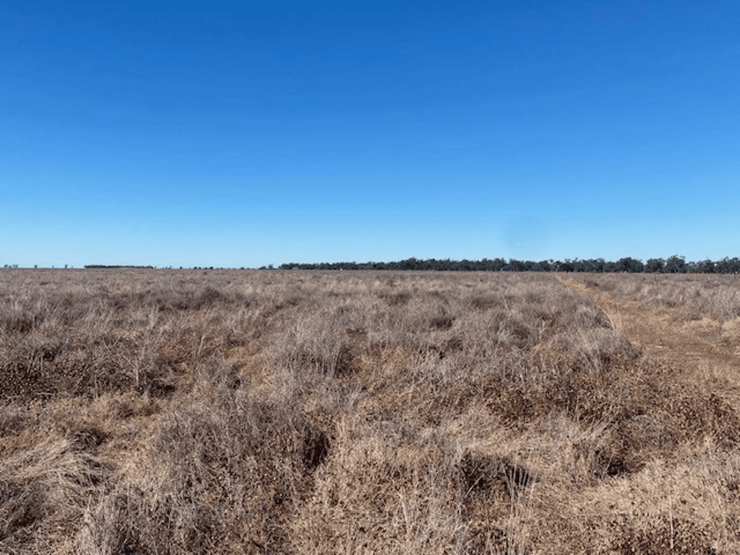 "NAMPARA", BURREN JUNCTION, NSW 2386