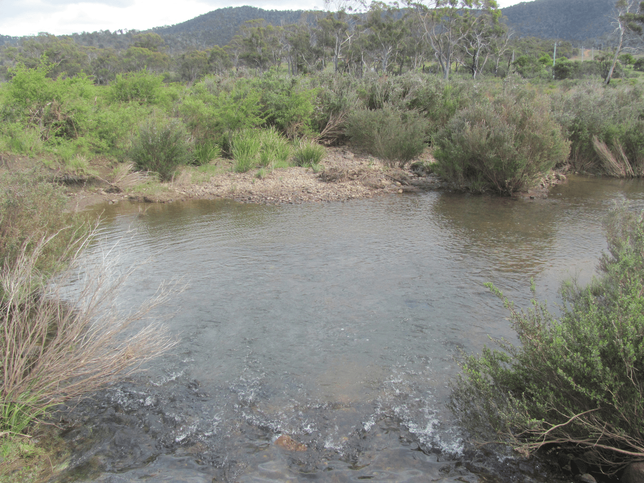 Glen Avis Royal George Road, ROYAL GEORGE, TAS 7213