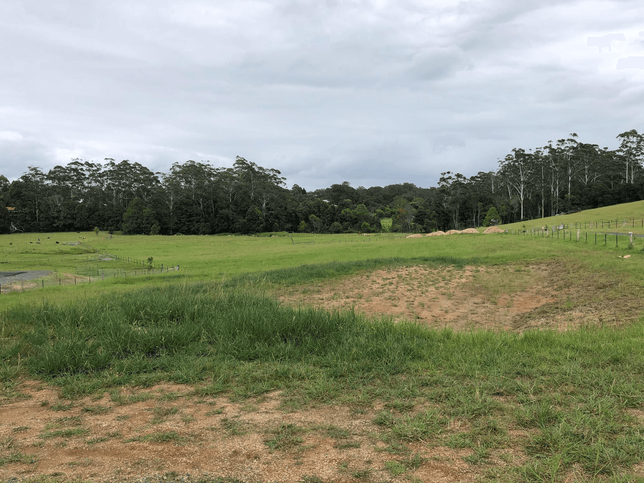 62 Saddleback Way, NEWEE CREEK, NSW 2447