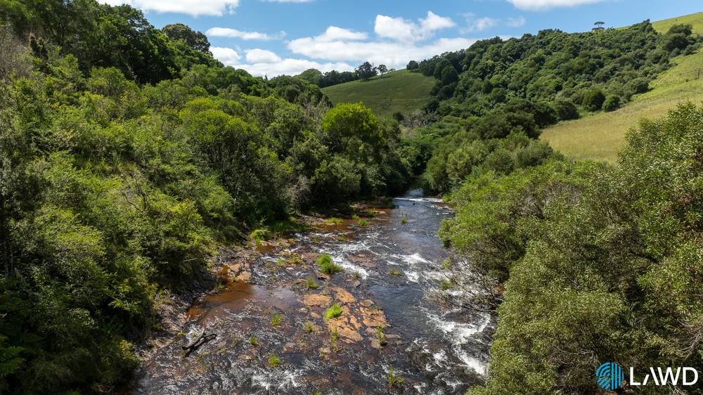 507 Shephards Road, DORRIGO, NSW 2453