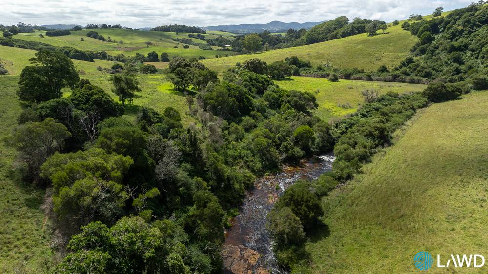 507 Shephards Road, DORRIGO, NSW 2453