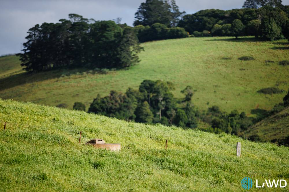 507 Shephards Road, DORRIGO, NSW 2453