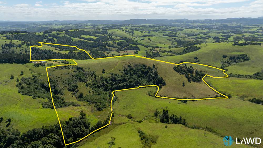 507 Shephards Road, DORRIGO, NSW 2453