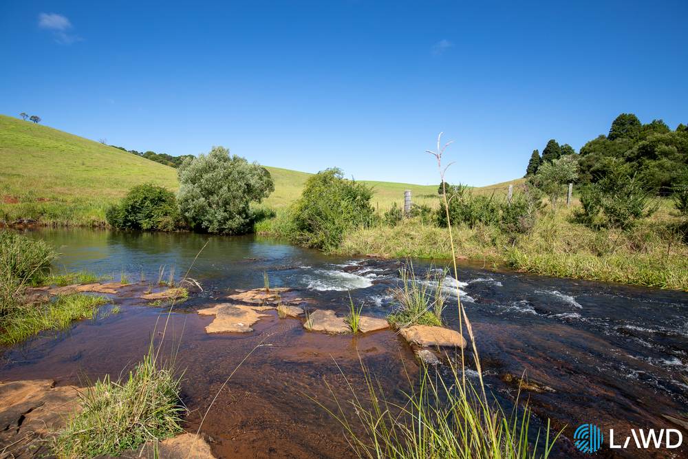 507 Shephards Road, DORRIGO, NSW 2453