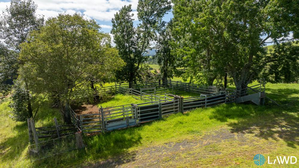 507 Shephards Road, DORRIGO, NSW 2453