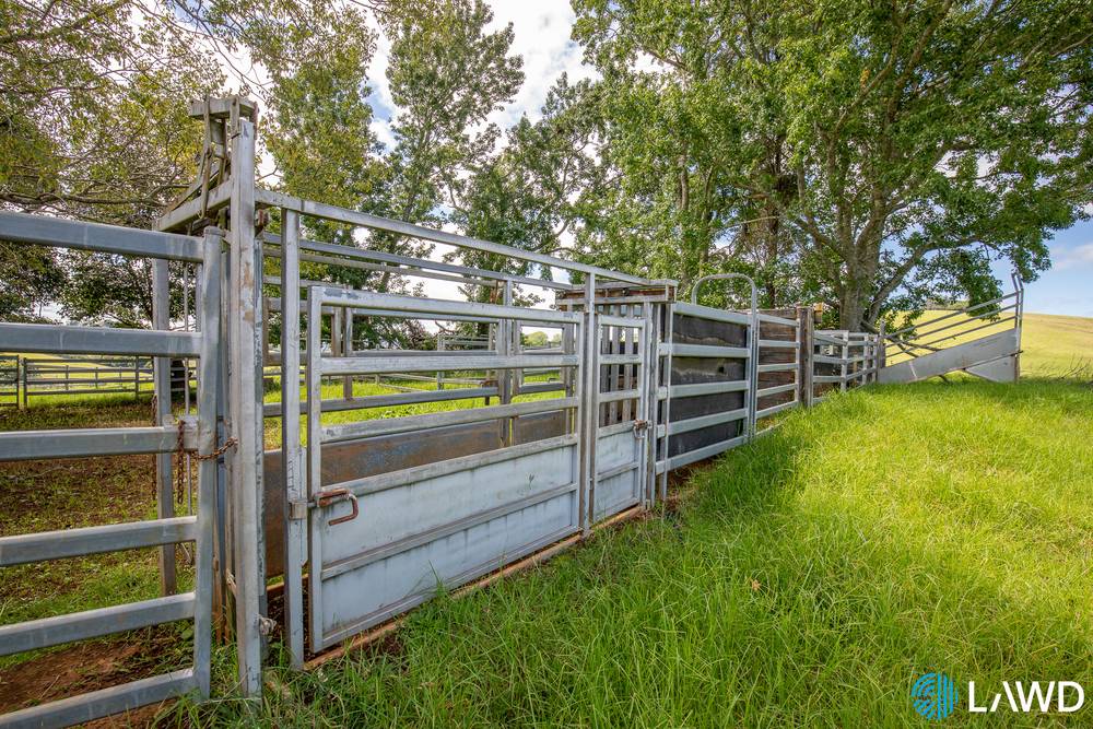 507 Shephards Road, DORRIGO, NSW 2453