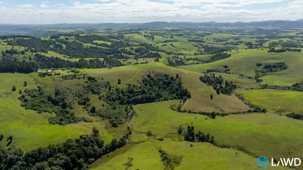 507 Shephards Road, DORRIGO, NSW 2453