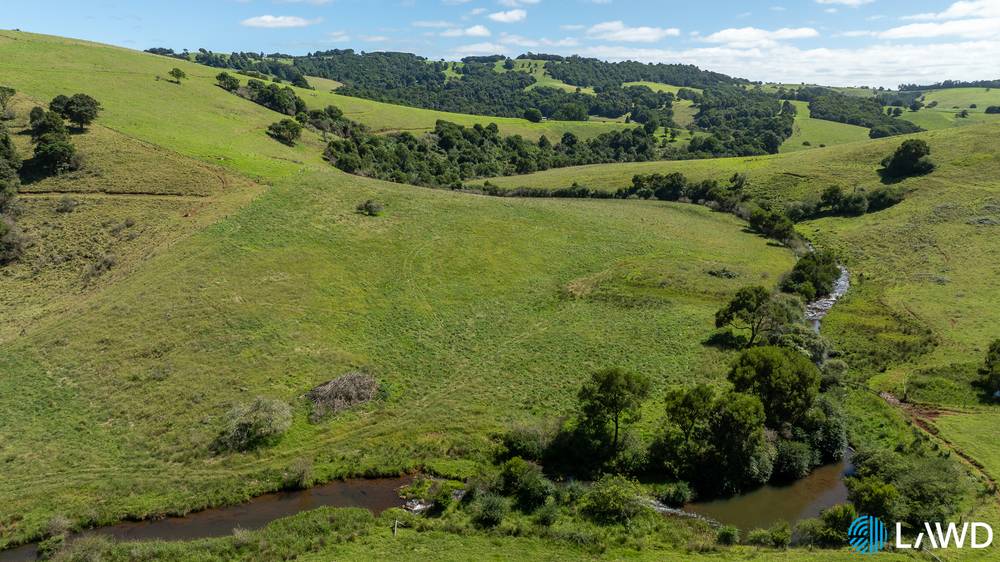 507 Shephards Road, DORRIGO, NSW 2453
