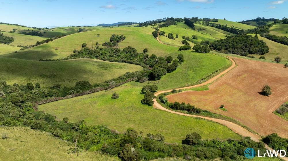507 Shephards Road, DORRIGO, NSW 2453