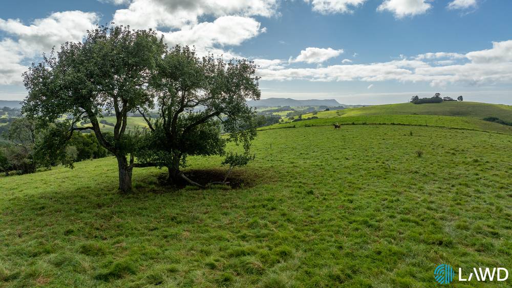507 Shephards Road, DORRIGO, NSW 2453