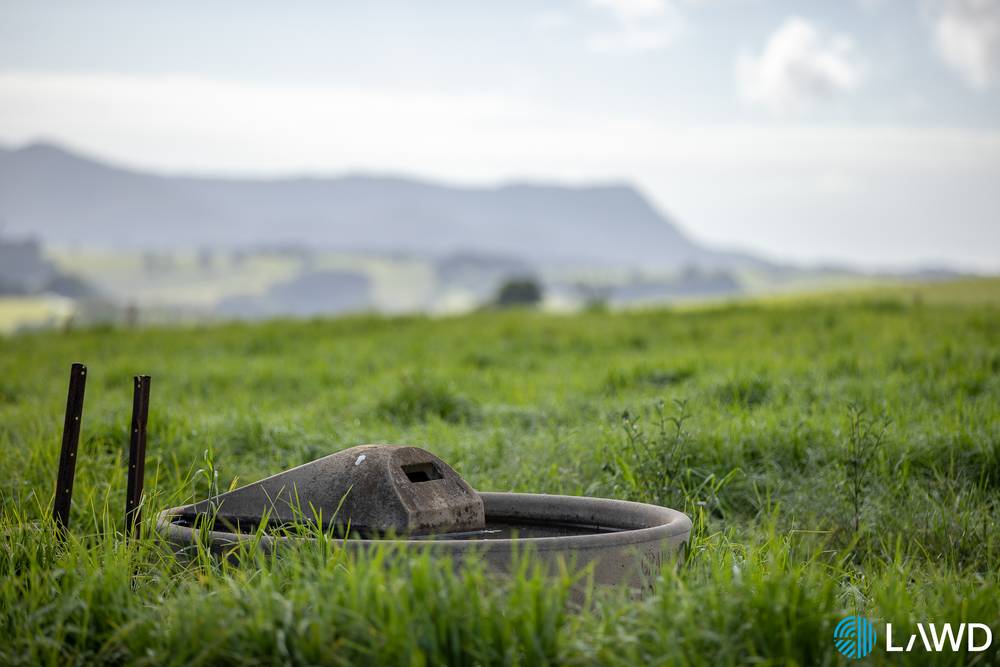 507 Shephards Road, DORRIGO, NSW 2453