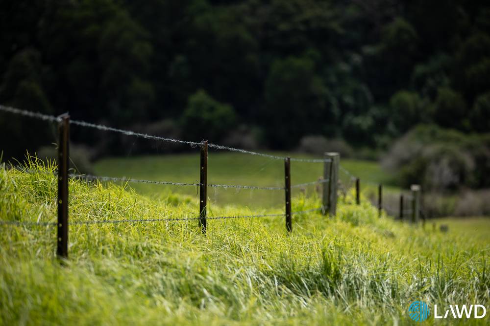 507 Shephards Road, DORRIGO, NSW 2453