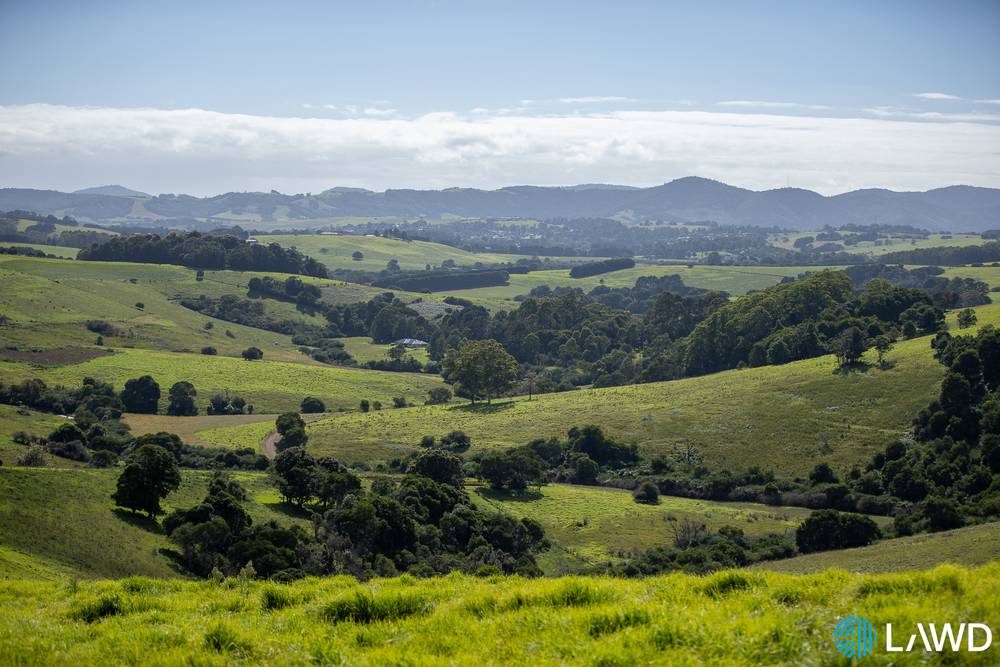 507 Shephards Road, DORRIGO, NSW 2453
