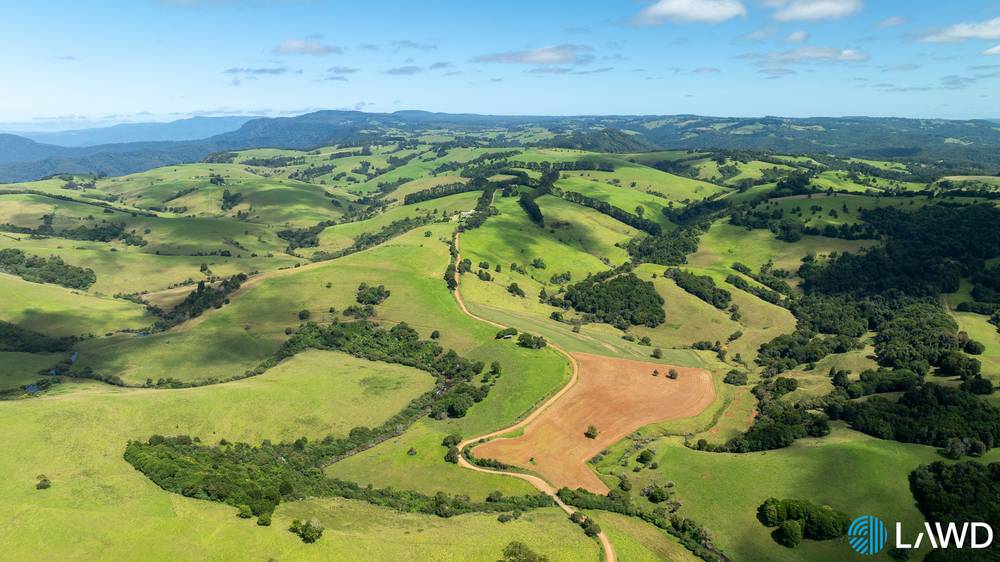 507 Shephards Road, DORRIGO, NSW 2453