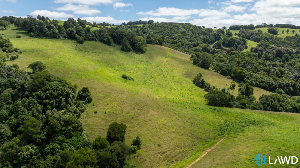 507 Shephards Road, DORRIGO, NSW 2453