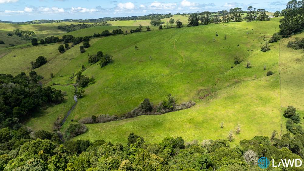 507 Shephards Road, DORRIGO, NSW 2453