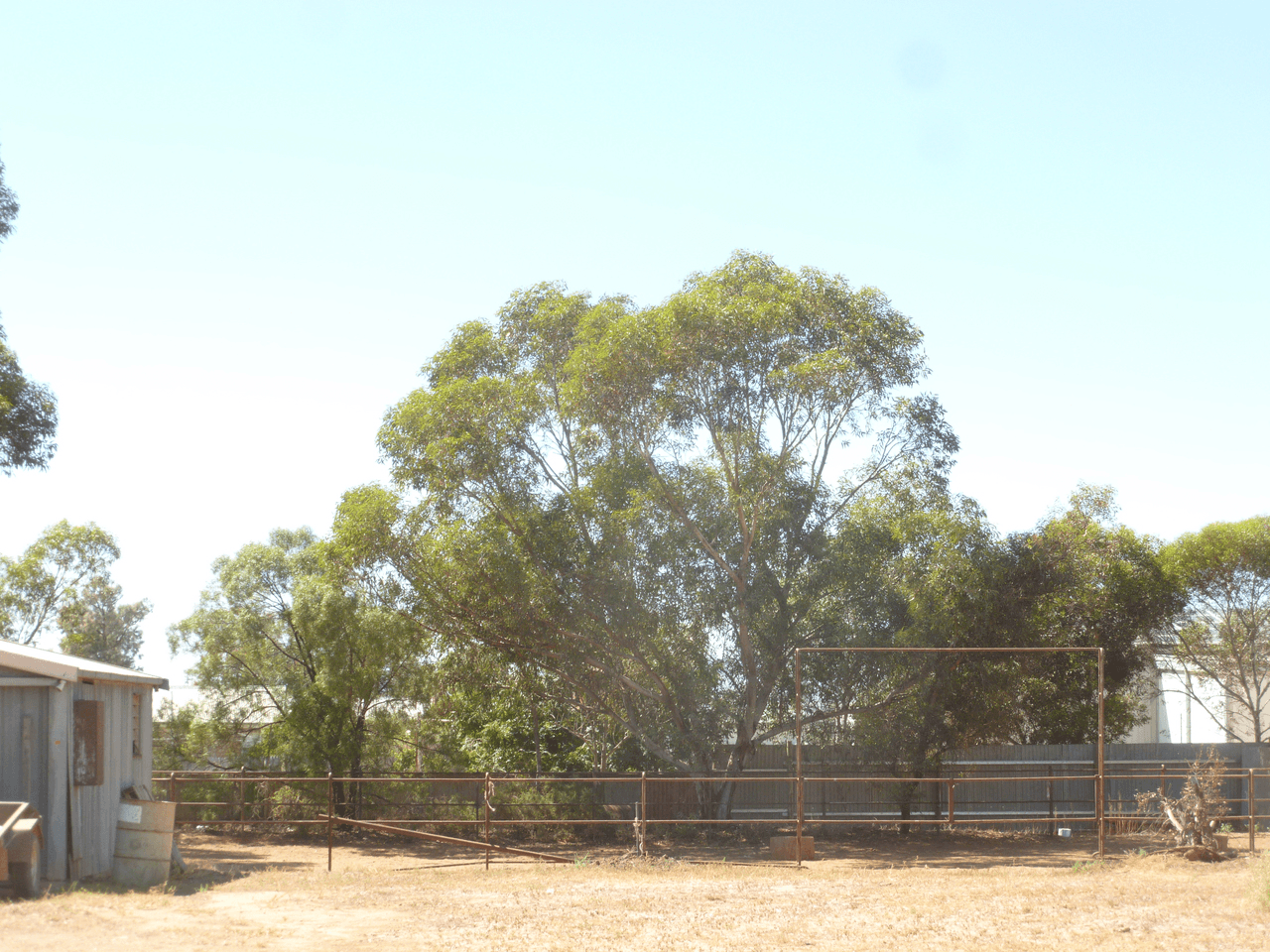 16 Gray Terrace, ORROROO, SA 5431