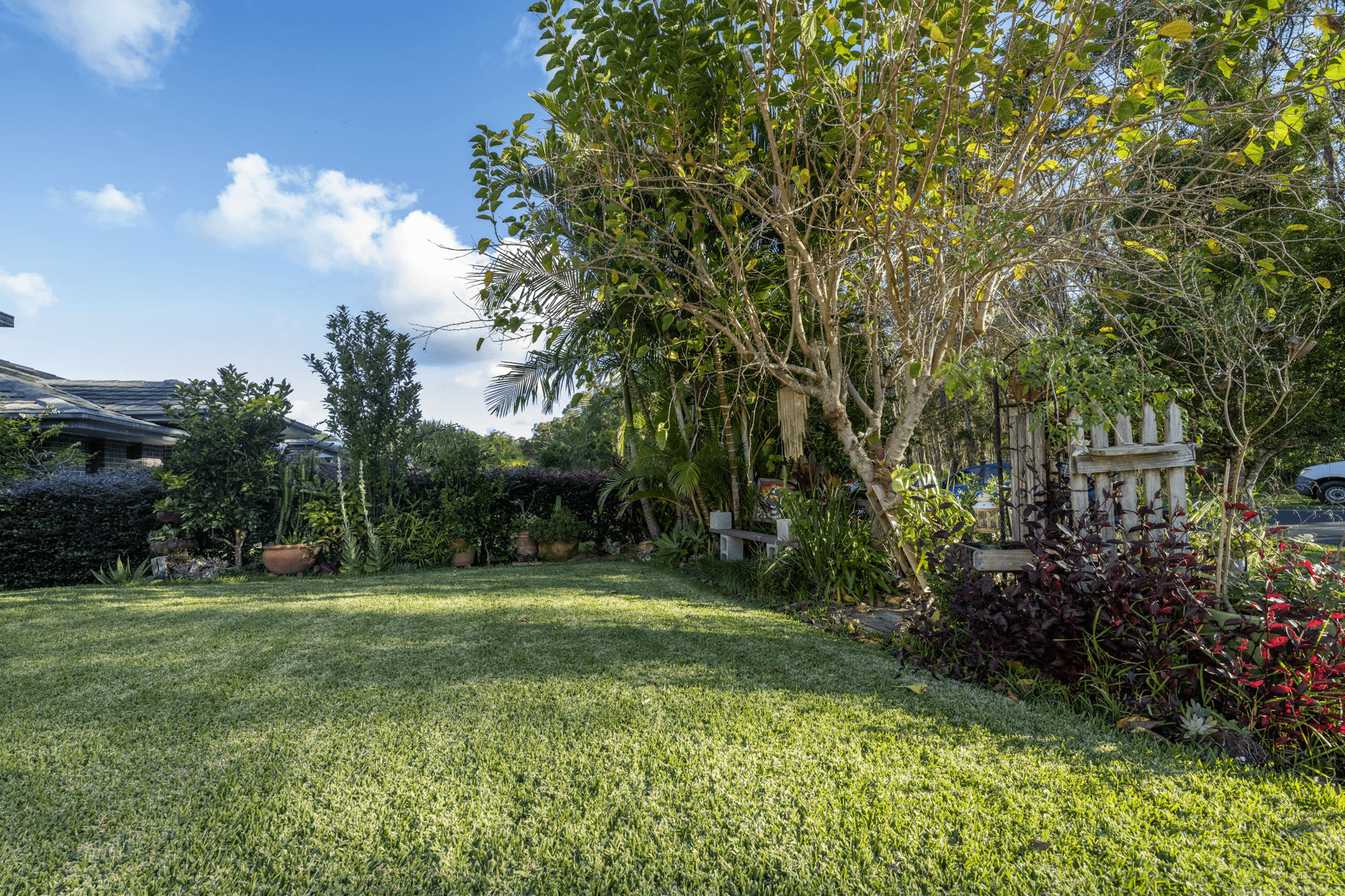 52 Paddymelon Circuit, COFFS HARBOUR, NSW 2450