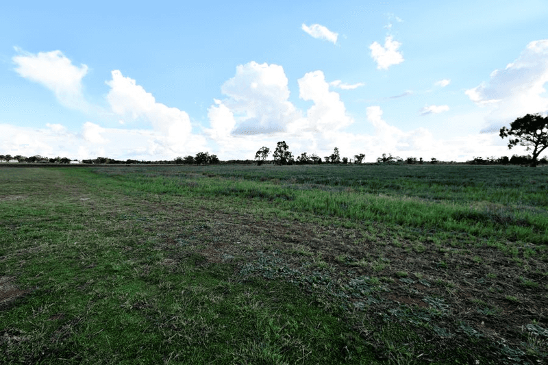 8L Gavel Drive, DUBBO, NSW 2830